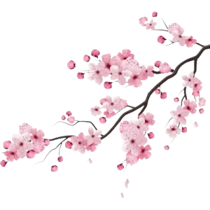 fleur